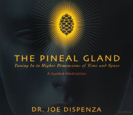 Dr Joe Dispenza: Pineal Gland: Tuning In To Higher Dimensions Of [CD]