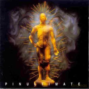 The Shock: Pinultimate [CD]
