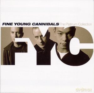 Fine Young Cannibals: Platinum Collection [CD]