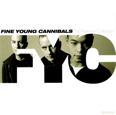 Fine Young Cannibals: Platinum Collection [CD]