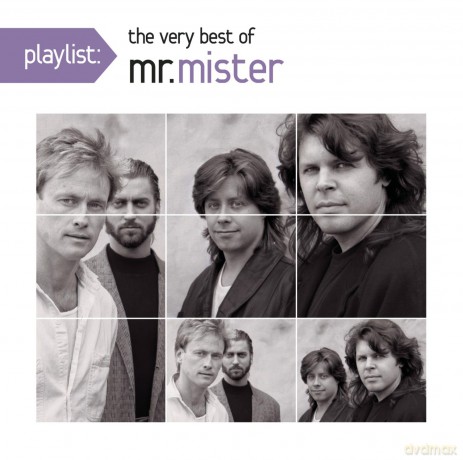 Mr Mister: Playlist: The Very Best of Mr Mister [CD]