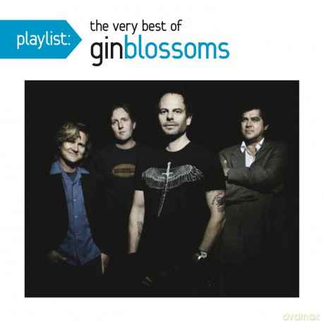 Gin Blossoms: Playlist: Very Best Of Gin Blossoms [CD]