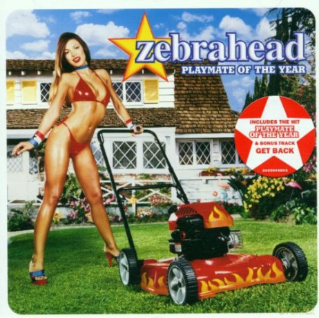 Zebrahead: Playmate of the Year [CD]