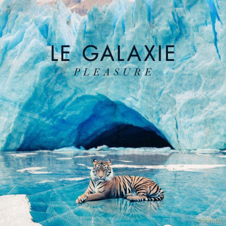 Le Galaxie: Pleasure [CD]