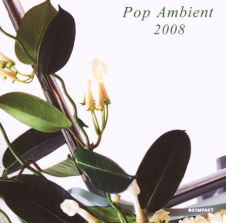 Pop Ambient 2008 [CD]