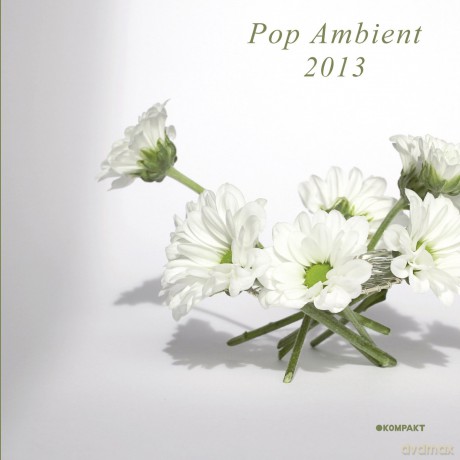 Pop Ambient 2013 [CD]