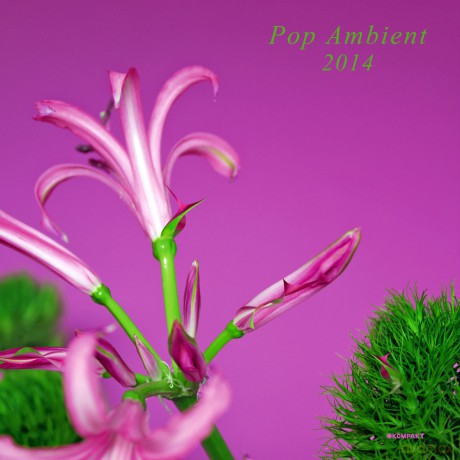 Pop Ambient 2014 [CD]