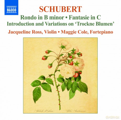 F. Schubert: Schubert: Works F.Violin Vol.2 [CD]