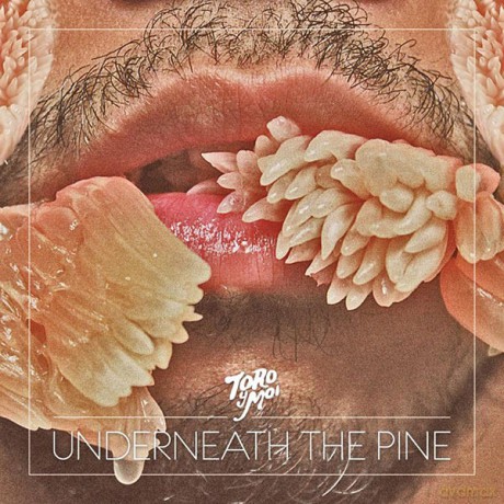 Toro Y Moi: Underneath The Pine (digipack) [CD]