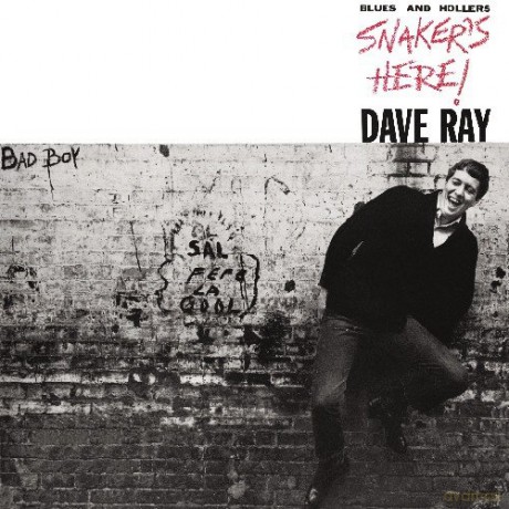 Dave Ray: Snaker's Here [CD]