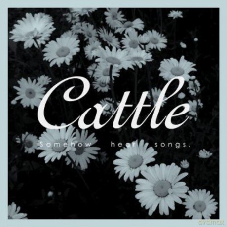 Cattle: Somehow Hear Songs [CD]