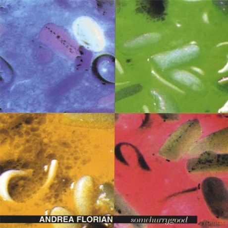 Andrea Florian: Somehurrygood [CD]
