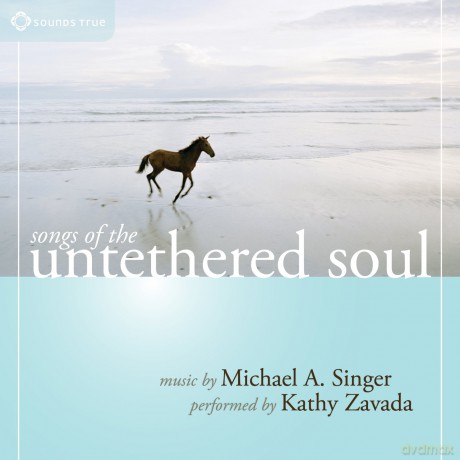 Michael a Singer: Songs of the Untethered Soul [CD]