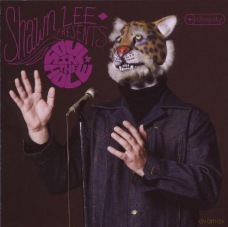Lee Shawn: Soul in the Hole [CD]