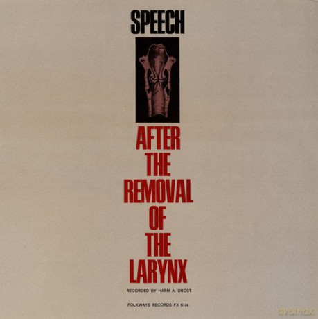 Speech After the Larynx [CD]