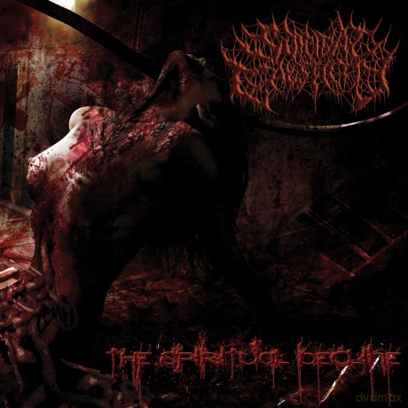 Suicidal Causticity: Spiritual Decline [CD]