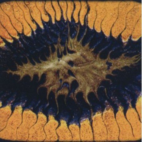 Coram Lethe: Splendid Chaos [CD]