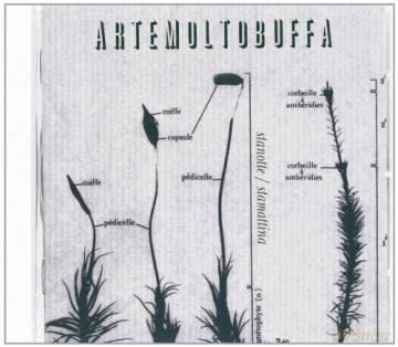 Artemoltobuffa: Stanotte/stamattina [CD]