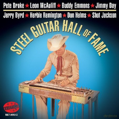 Steel Guitar Hall of Fame [CD]