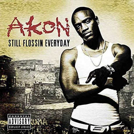 Akon: Still Flossin Everyday [CD]