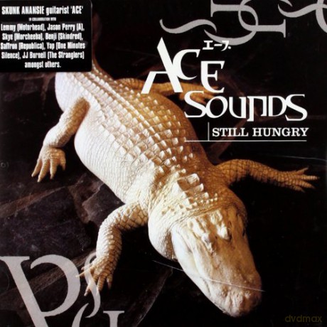 Ace Sounds: Still Hungry [CD]