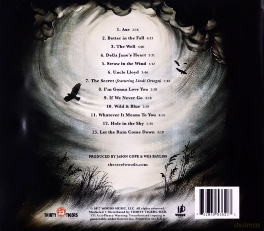 The Steel Woods: Straw In The Wind [CD]