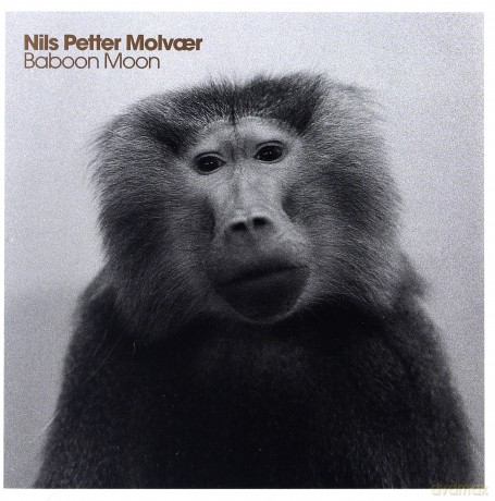 Nils Petter Molvaer: Baboon Moon [CD]