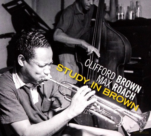 Study In Brown: Study In Brown.. -Deluxe- [2CD]