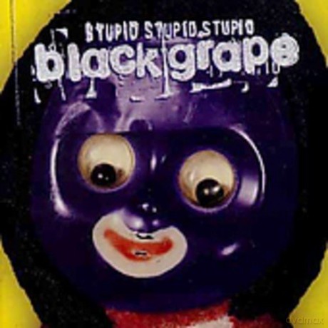 Black Grape: Stupid, Stupid, Stupid [CD]