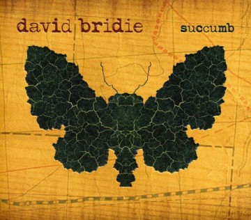 David Bridie: Succumb [CD]
