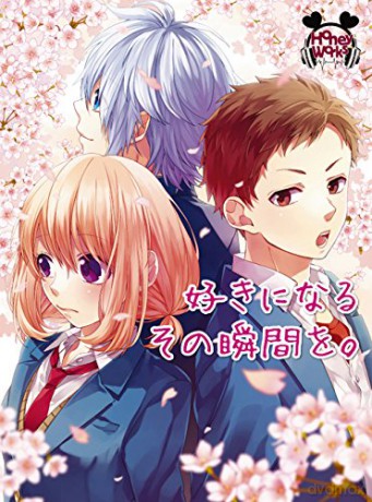 Honeyworks: Sukininaru Sonosyunkanwo [3CD]