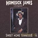 Homesick James: Sweet Home Tennessee [CD]