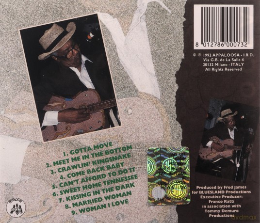 Homesick James: Sweet Home Tennessee [CD]