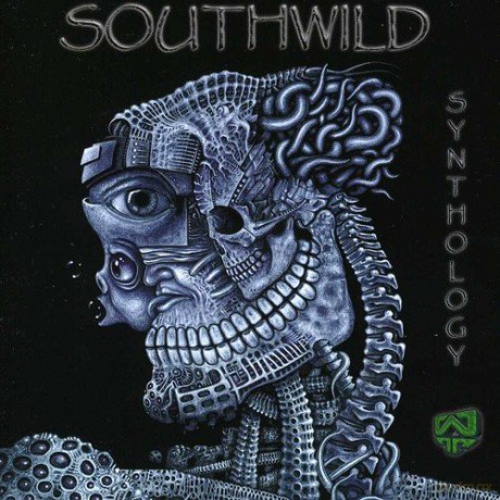 Southwild: Synthology [CD]