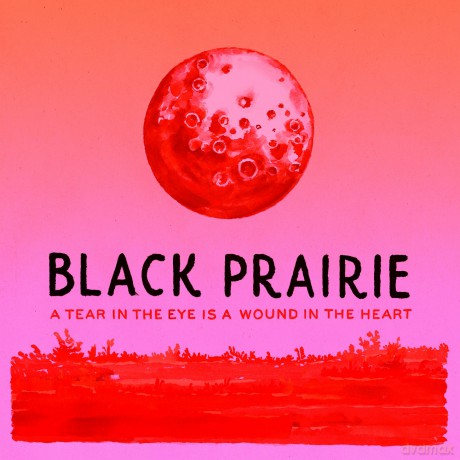 Black Prairie: Tear in the Eye Is A.. [CD]