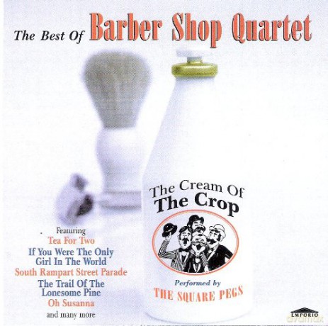 Square Pegs: The Cream Of The Crop [CD]