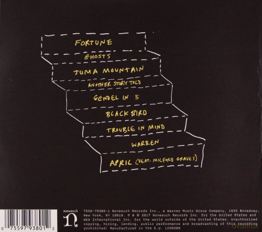 Sam Amidon: The Following Mountain [CD]