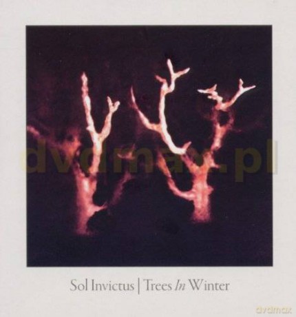 Sol Invictus: Trees In Winter [CD]