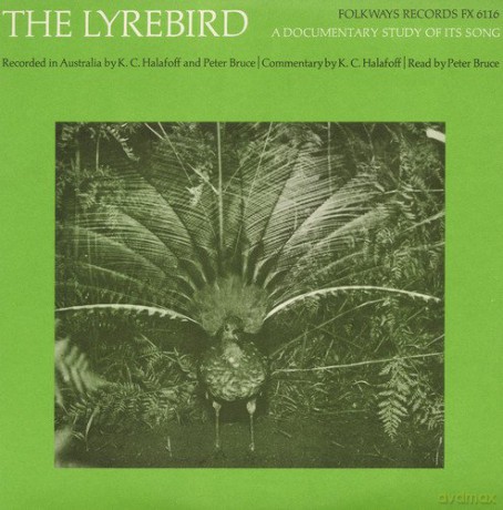 P. Bruce: The Lyrebird: A Documentary Study of Its Song [CD]