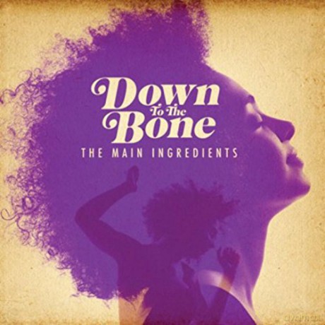 Down to the Bone: The Main Ingredients [CD]
