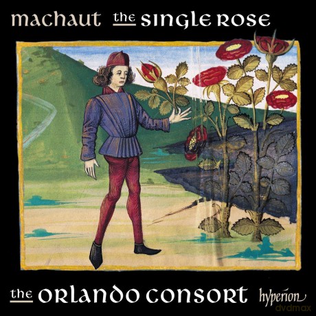 G. De Machaut: The Single Rose [CD]