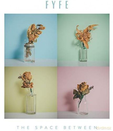 Fyfe: The Space Between [CD]