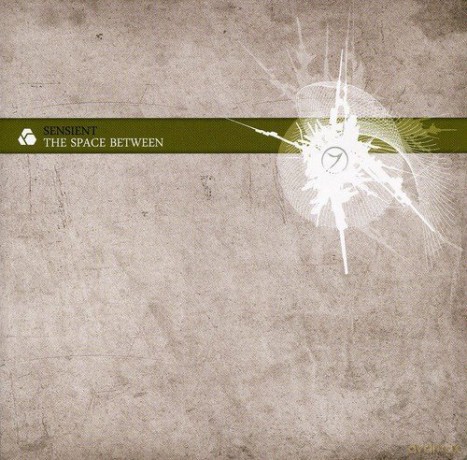 Sensient: The Space Between [CD]
