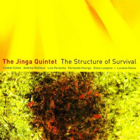 The Jinga Quintet: The Structure Of Survival [CD]