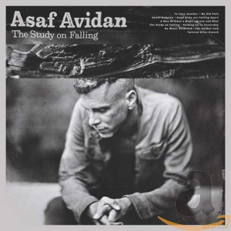 Asaf Avidan: The Study On Falling [CD]