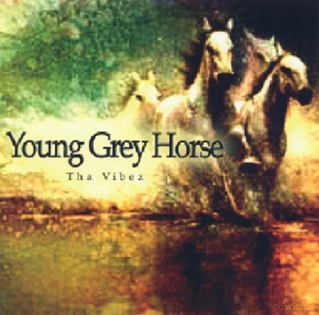 Young Grey Horse: The Vibez [CD]