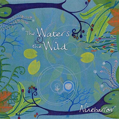 Ninebarrow: The Waters And The Wild [CD]