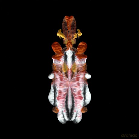 Scraps of Tape: The Will To Burn [CD]