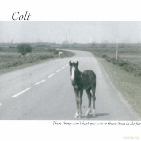Colt: These Things Can't Hurt You Now, So Throw Them In The Fire [CD]