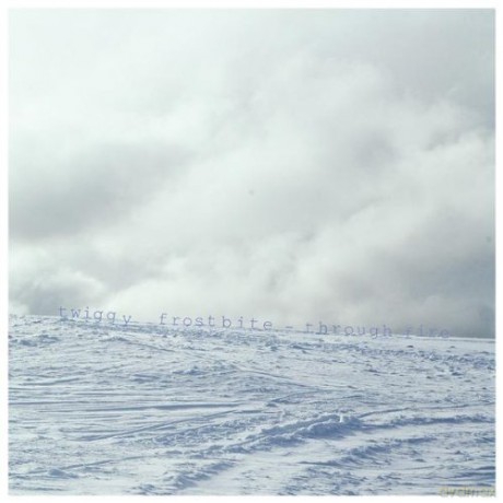Twiggy Frostbite: Through Fire [CD]